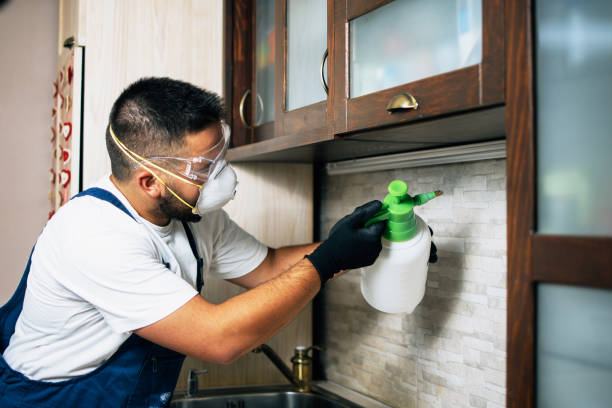 Best Pest Removal Services  in Shiner, TX