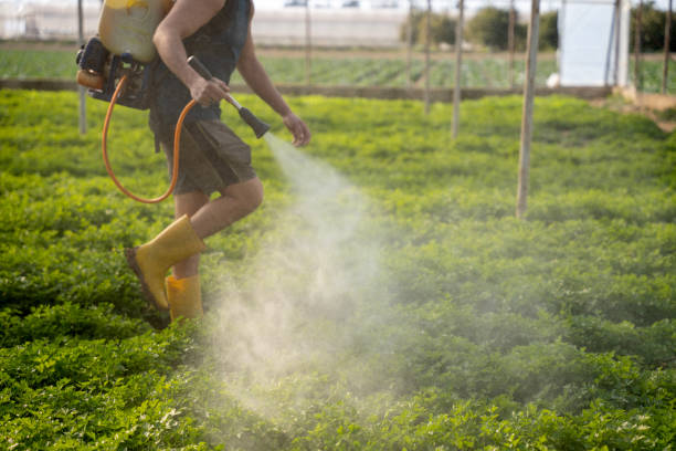 Best Pest Control Near Me  in Shiner, TX