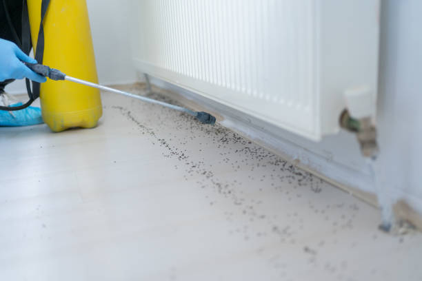 Best Best Pest Control Companies  in Shiner, TX